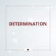 DETERMINATION